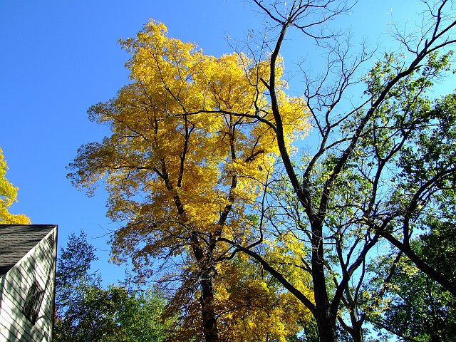 618x457 pixels (153K)